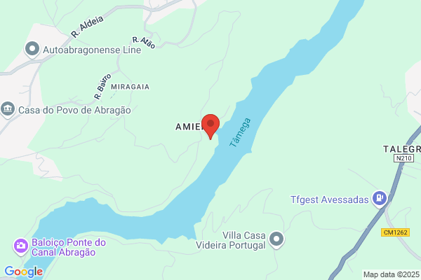 Ana C M Almeida Pinto