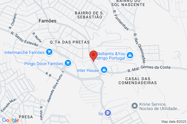 Vetzoo De Famões-Comércio De Alimentação E Tratamento De Animais lda