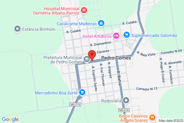 Pedro G B Gomes Teixeira