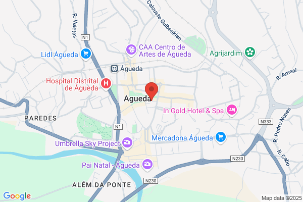 Cartario Notarial De Agueda