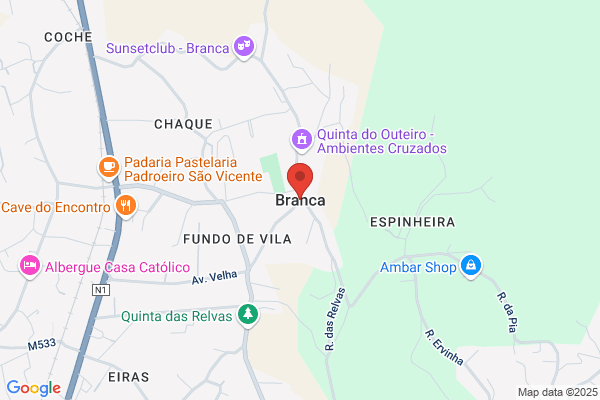 Jose Paulo Pereira Oliveira Ramalho (Eng‹)
