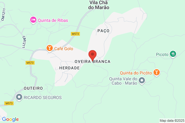 Oliveira & Branca Lda