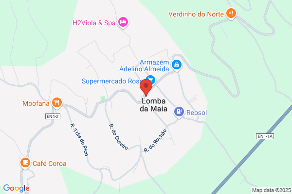 Maria C Alves Maia
