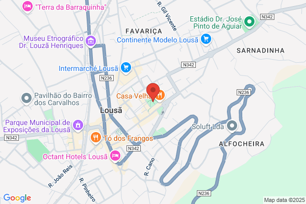 Carla C M Rodrigues Dias
