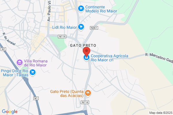 Riscoseguro-Gestora De Seguros Lda