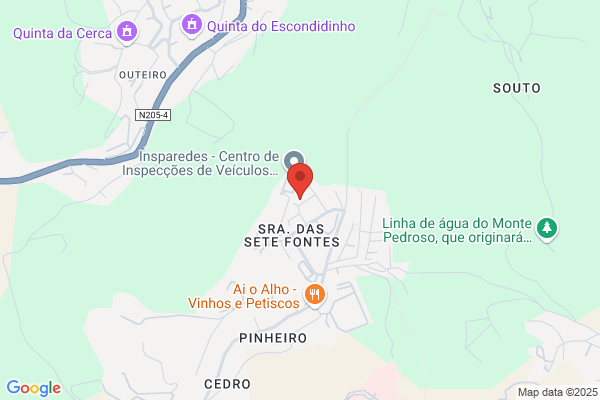 Helder A Meireles Ribeiro