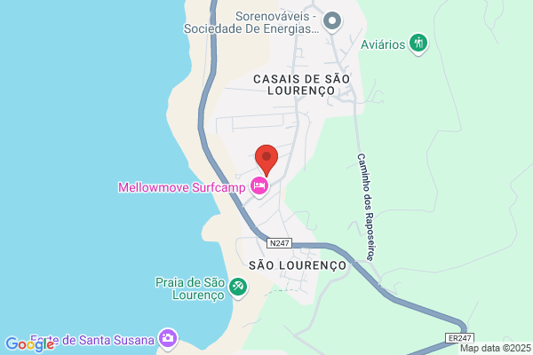 Ondina C Quintela Nunes