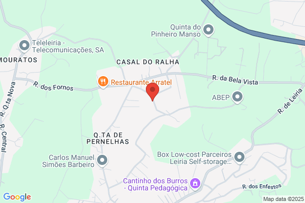 Alexandre P Vilar Matias
