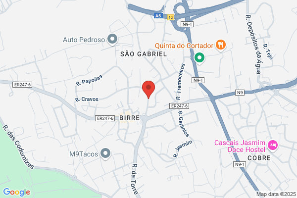 Deolinda F F Silva Peixoto
