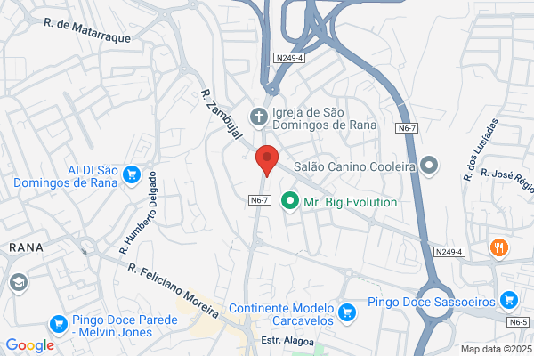 Geosub-Prospecï Geomica E Ambiente Lda