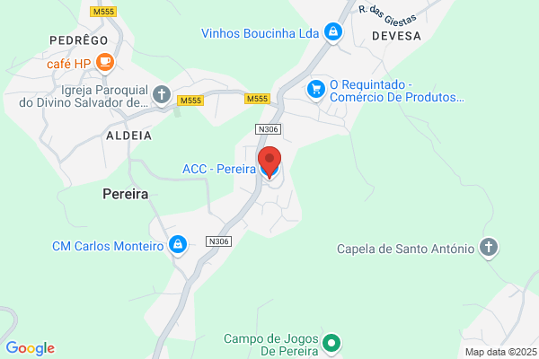 António Pereira Brandão
