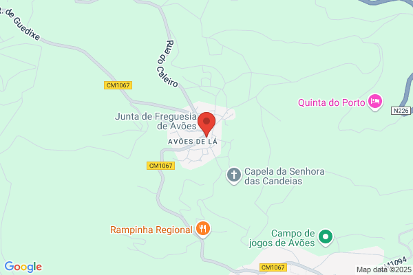 Churrasqueira Dallas