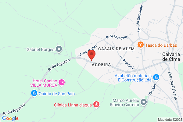 Palmira Brandàunipessoal Lda