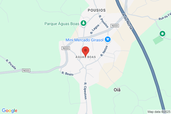 Anál C Santos Simü