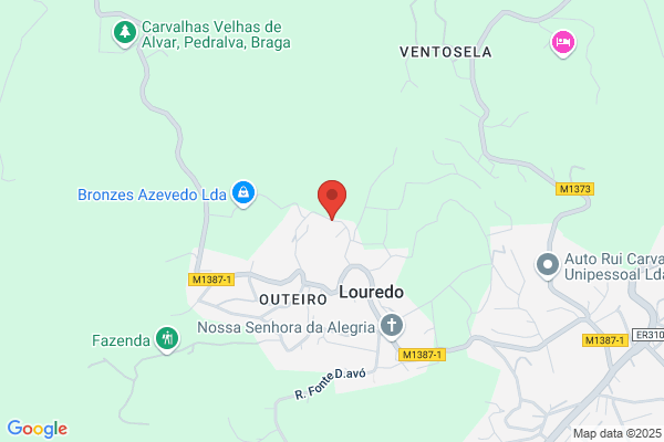 Maria D Monterio Ribeiro