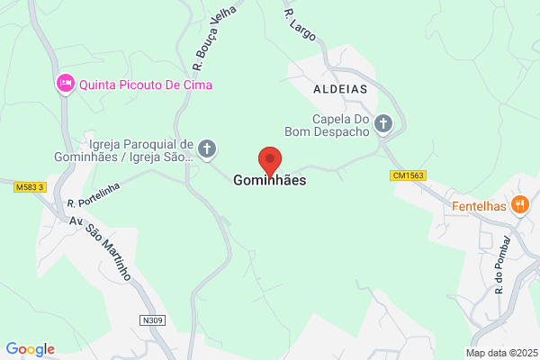 Maria C G Moinhos Henriques