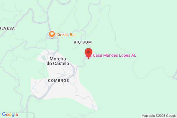 Ilia Mendes