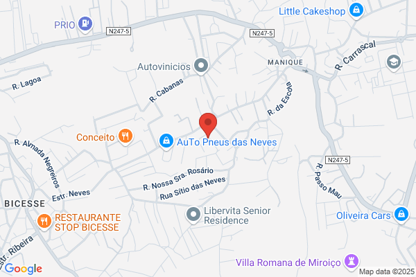 Alina Pinto Simü