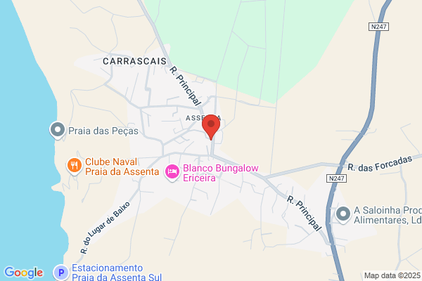 Antanio Jose Custadio Antunes Da Conceiiao