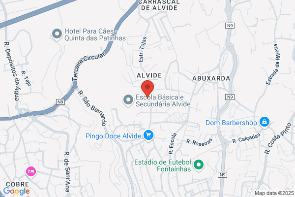 António Serôdio