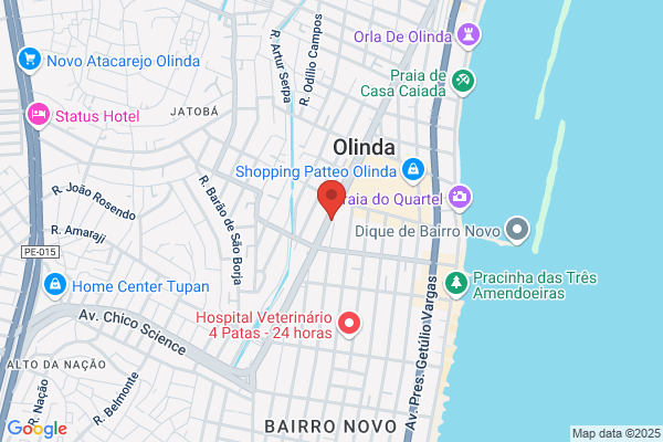 Olinda C V Santos Tiago