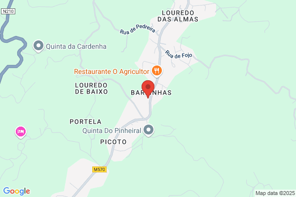 Electro-Magnico Electricidade