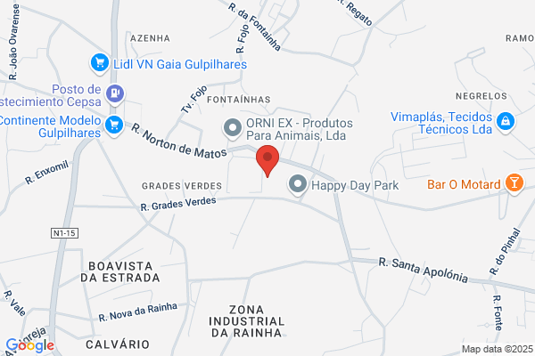 Escola de Dança Academia Pedro Sousa