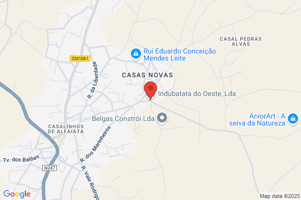 Gabriel Campos Ferreira