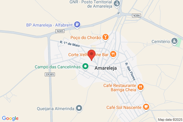 Agostinha Martins Caeiro