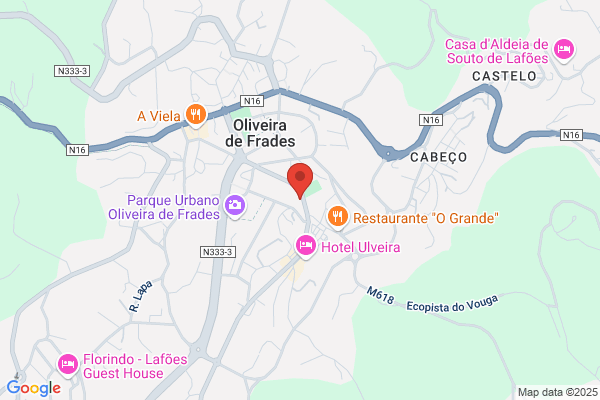 António L Pereira Figueiredo
