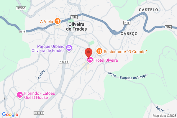 Luís A S Pinto Correia