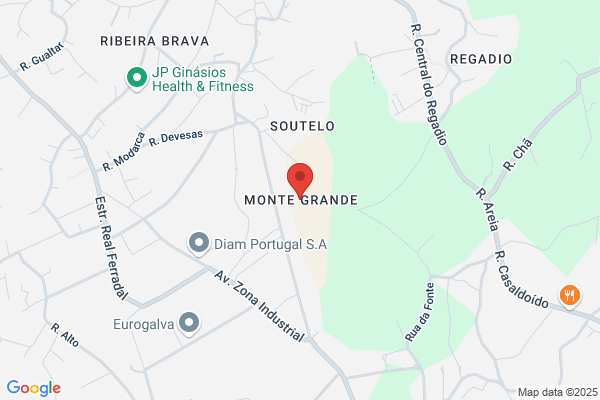 Adelino Guedes Mota
