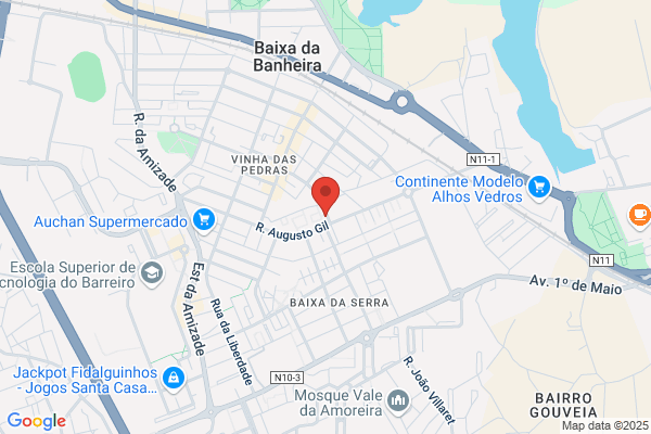 Odete M D Mendonça Alves