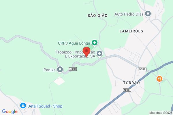 Vidraria Nelcar-Aurelio Dos Santos Ferreira. Lda