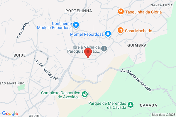 Carlos A Silva Ruela