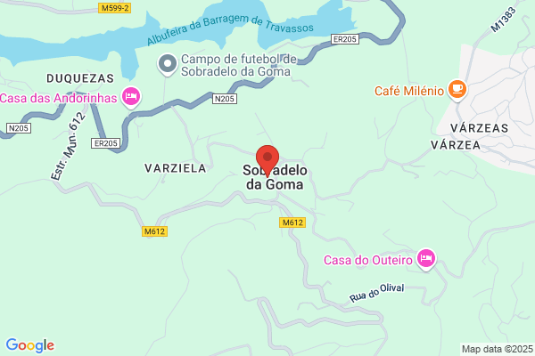 Joàr C Silva Guimars