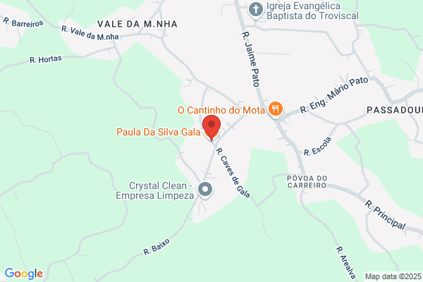 Paula F J Gama Costa