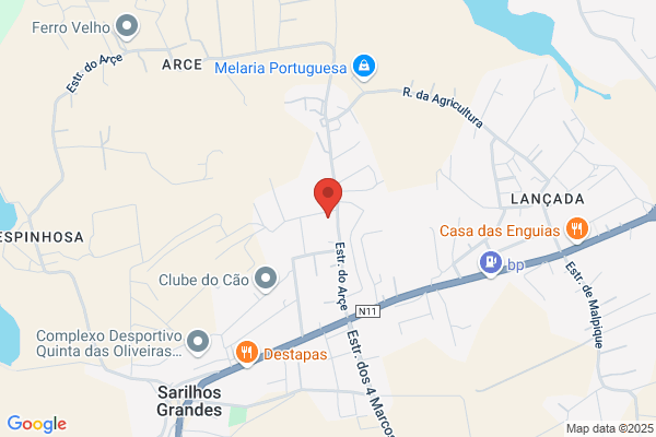 Belgados-Sociedade De Gados. Lda