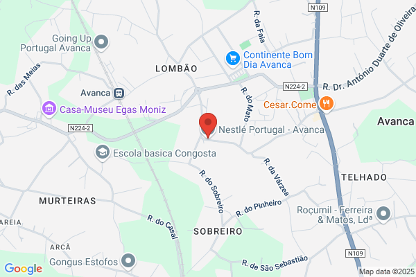 Nestlwaters Direct Portugal-Comãio E Distribuiï De Produtos alimentares sa