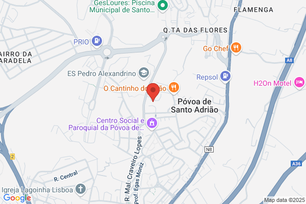 Rute-Técnicos Oficiais De Contas Lda