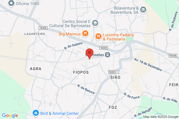 Balões Festa-Artigos Publicitários Lda