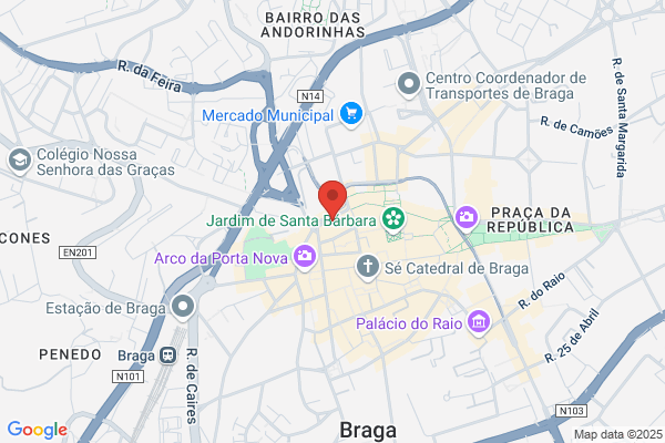 Raquel S Macedo Castro