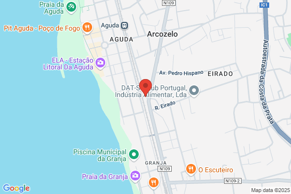 Adozinda E Guimarães Pires