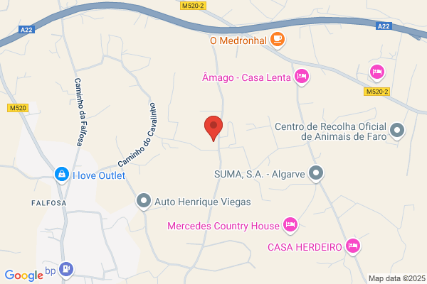 Vor M Sousa Alves