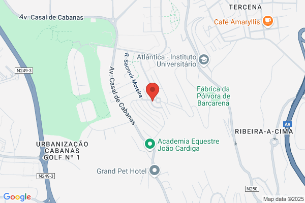Activ Motor-Comércio De Automóveis E Publicidade Lda