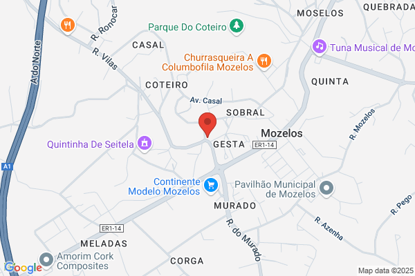 Isabel M Santos Gomes