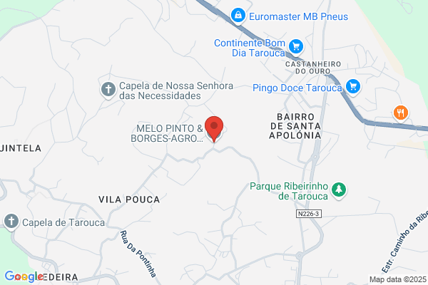 Melo Pinto E Borges-Agro Pecuaria. Lda