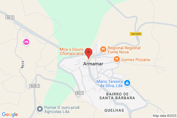 Maria I B Figueiredo Simões