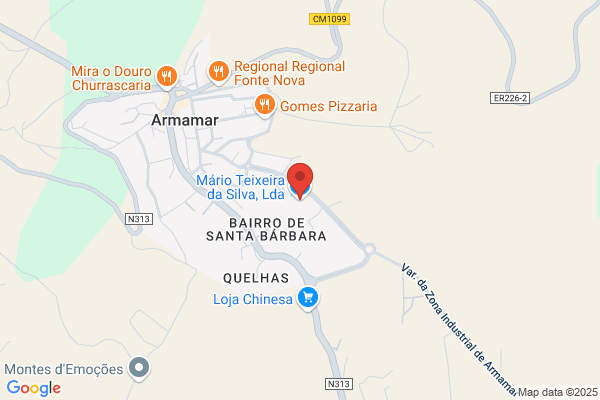 Mário Teixeira Silva