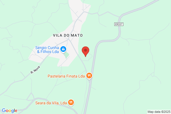 Dinis Silva Jorge